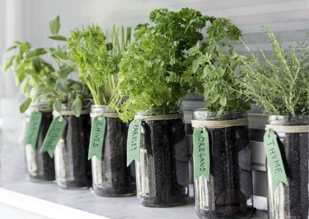 jar garden diy home project stay home