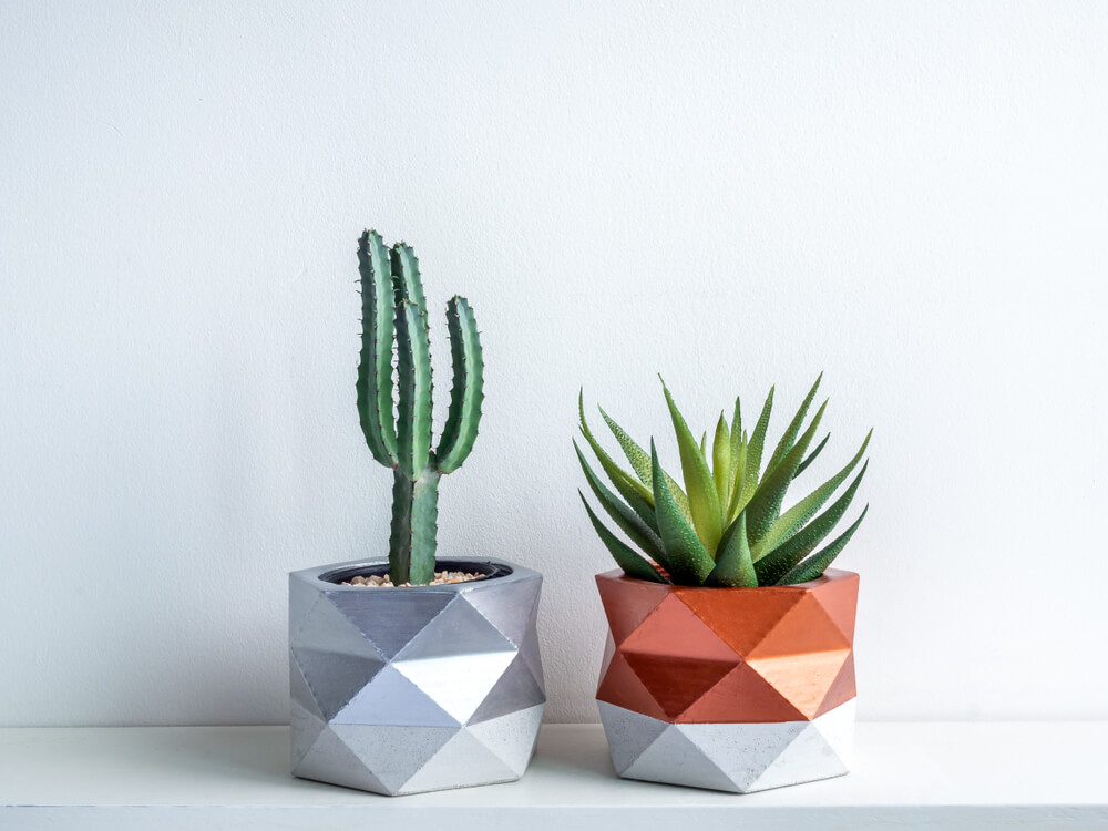 plant pots painted in metallic color diy home project stay home